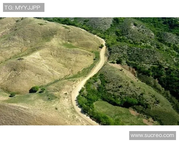 墨超华雷斯对决精彩回顾与战术分析全景展现 墨超华雷斯对决精彩回顾与战术分析全景展现