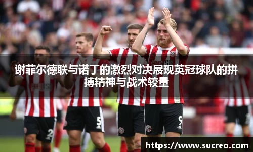谢菲尔德联与诺丁的激烈对决展现英冠球队的拼搏精神与战术较量